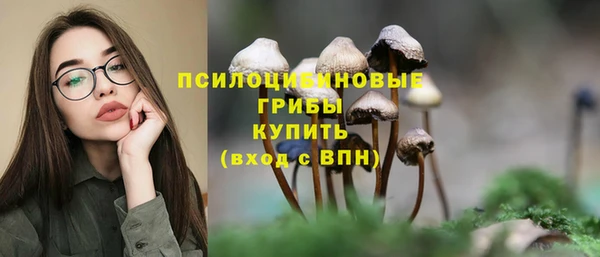 прущая мука Лиски