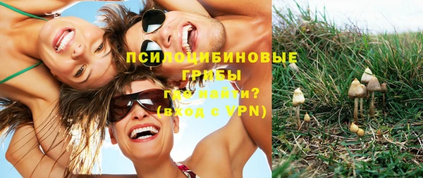 экстази Липки
