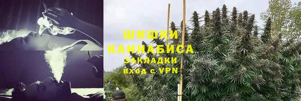 ПСИЛОЦИБИНОВЫЕ ГРИБЫ Верхний Тагил