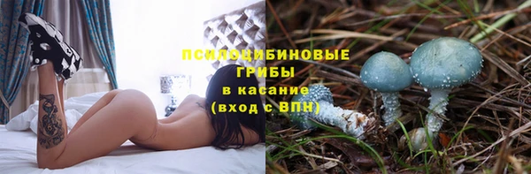 прущая мука Лиски