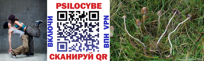 Псилоцибиновые грибы Magic Shrooms  Обнинск 