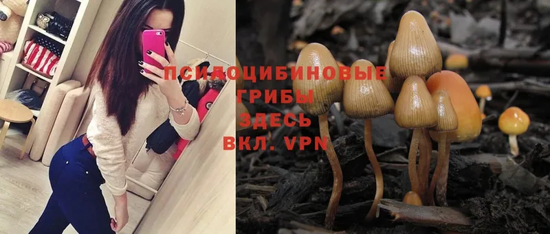 Псилоцибиновые грибы Magic Shrooms  Обнинск 