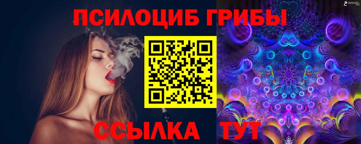 Псилоцибиновые грибы Cubensis  хочу наркоту  Обнинск  Вход с VPN 